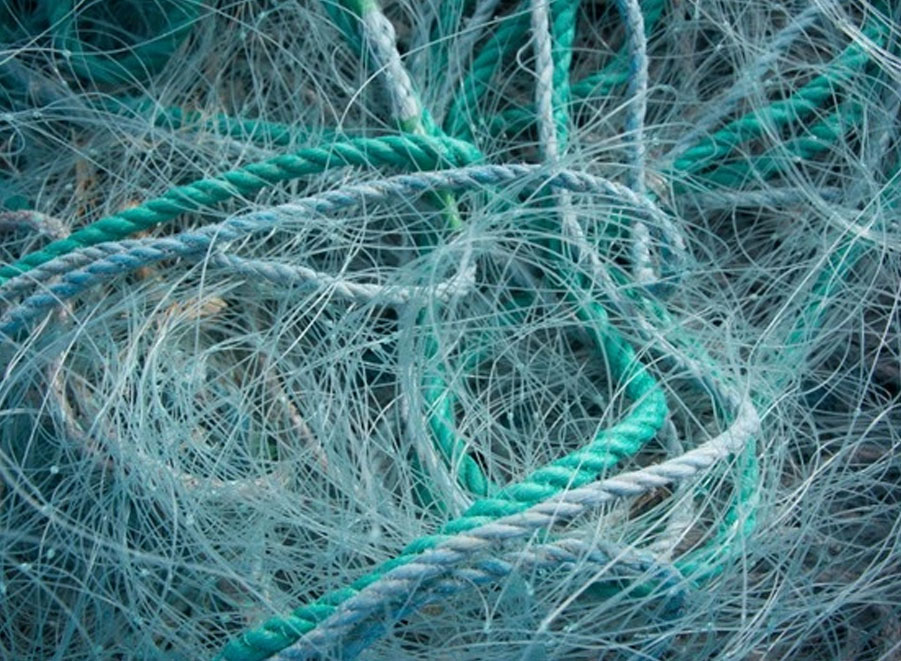 Daamni-Industries-Fishing-ropes
